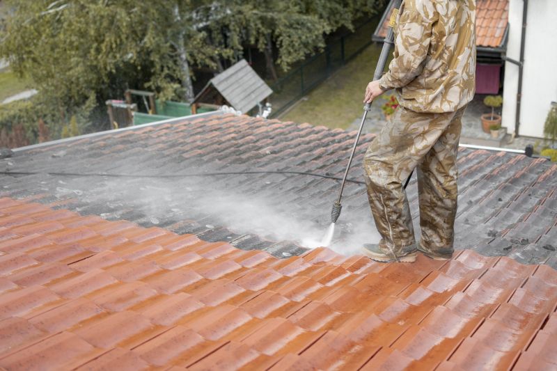 Copper Roof Cleaning